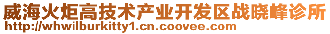 威海火炬高技術產業開發區戰曉峰診所