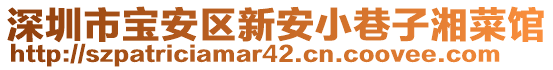 深圳市寶安區新安小巷子湘菜館