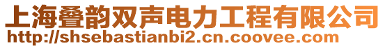 上海疊韻雙聲電力工程有限公司