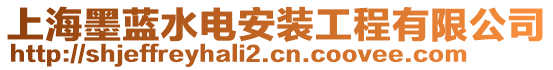 上海墨藍水電安裝工程有限公司