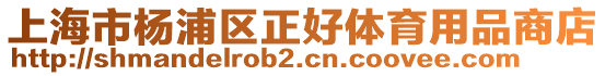 上海市楊浦區(qū)正好體育用品商店