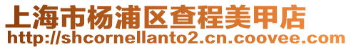 上海市楊浦區查程美甲店