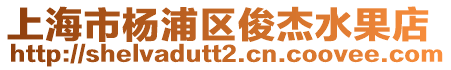 上海市楊浦區(qū)俊杰水果店