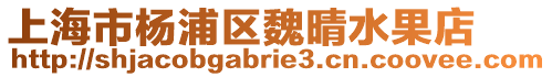 上海市楊浦區(qū)魏晴水果店