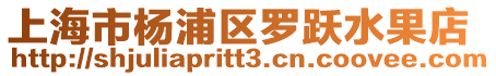 上海市楊浦區(qū)羅躍水果店