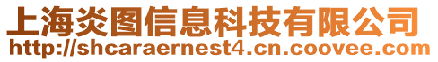 上海炎圖信息科技有限公司