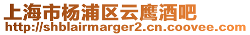 上海市楊浦區(qū)云鷹酒吧