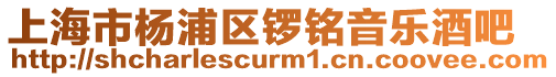 上海市楊浦區鑼銘音樂酒吧
