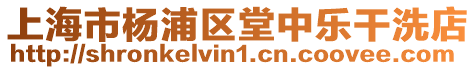 上海市楊浦區(qū)堂中樂干洗店