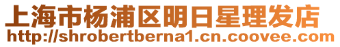 上海市楊浦區明日星理發店