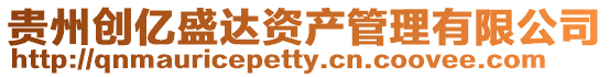 貴州創億盛達資產管理有限公司