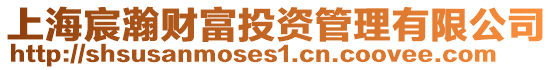 上海宸瀚財富投資管理有限公司