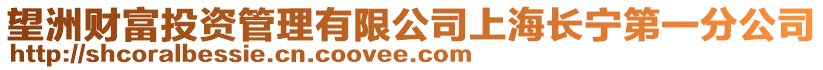 望洲財富投資管理有限公司上海長寧第一分公司