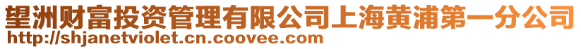 望洲財富投資管理有限公司上海黃浦第一分公司