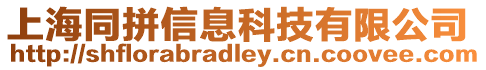 上海同拼信息科技有限公司