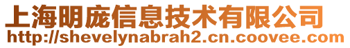 上海明龐信息技術有限公司