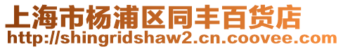 上海市楊浦區(qū)同豐百貨店