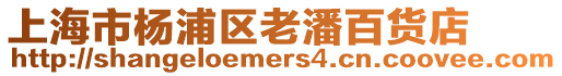 上海市楊浦區(qū)老潘百貨店