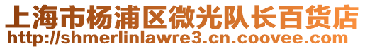 上海市楊浦區(qū)微光隊長百貨店