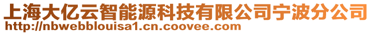 上海大億云智能源科技有限公司寧波分公司