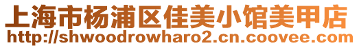 上海市楊浦區(qū)佳美小館美甲店