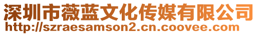 深圳市薇藍文化傳媒有限公司