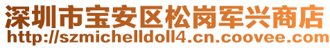深圳市寶安區松崗軍興商店