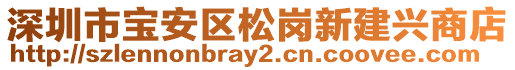 深圳市寶安區(qū)松崗新建興商店
