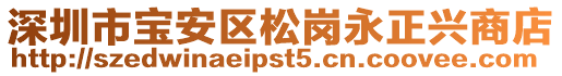 深圳市寶安區(qū)松崗永正興商店