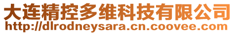 大連精控多維科技有限公司