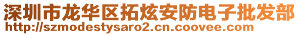 深圳市龍華區拓炫安防電子批發部