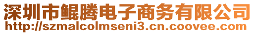深圳市鯤騰電子商務(wù)有限公司