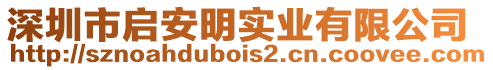 深圳市啟安明實業有限公司