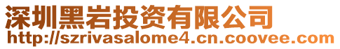 深圳黑巖投資有限公司