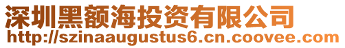 深圳黑額海投資有限公司