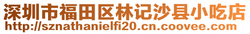 深圳市福田區(qū)林記沙縣小吃店