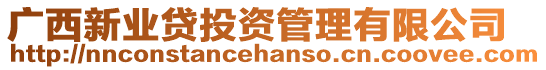 廣西新業貸投資管理有限公司