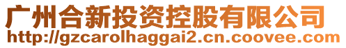 廣州合新投資控股有限公司