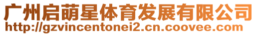 廣州啟萌星體育發展有限公司