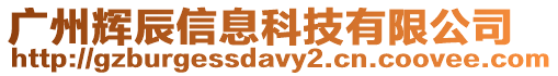 廣州輝辰信息科技有限公司