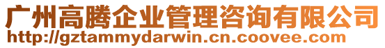 廣州高騰企業(yè)管理咨詢(xún)有限公司