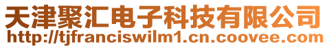天津聚匯電子科技有限公司