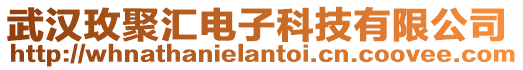 武漢玫聚匯電子科技有限公司