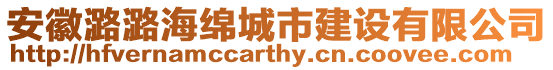安徽潞潞海綿城市建設有限公司