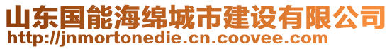 山東國(guó)能海綿城市建設(shè)有限公司