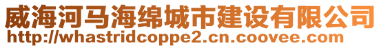 威海河馬海綿城市建設有限公司