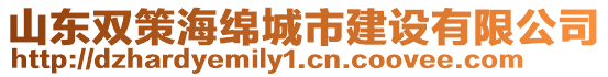山東雙策海綿城市建設有限公司
