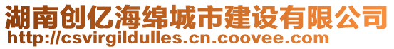 湖南創(chuàng)億海綿城市建設有限公司