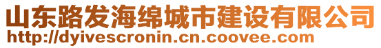 山東路發海綿城市建設有限公司