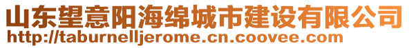 山東望意陽海綿城市建設有限公司